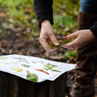 Hands laying leaves and flowers on cotton to make a natural dye print